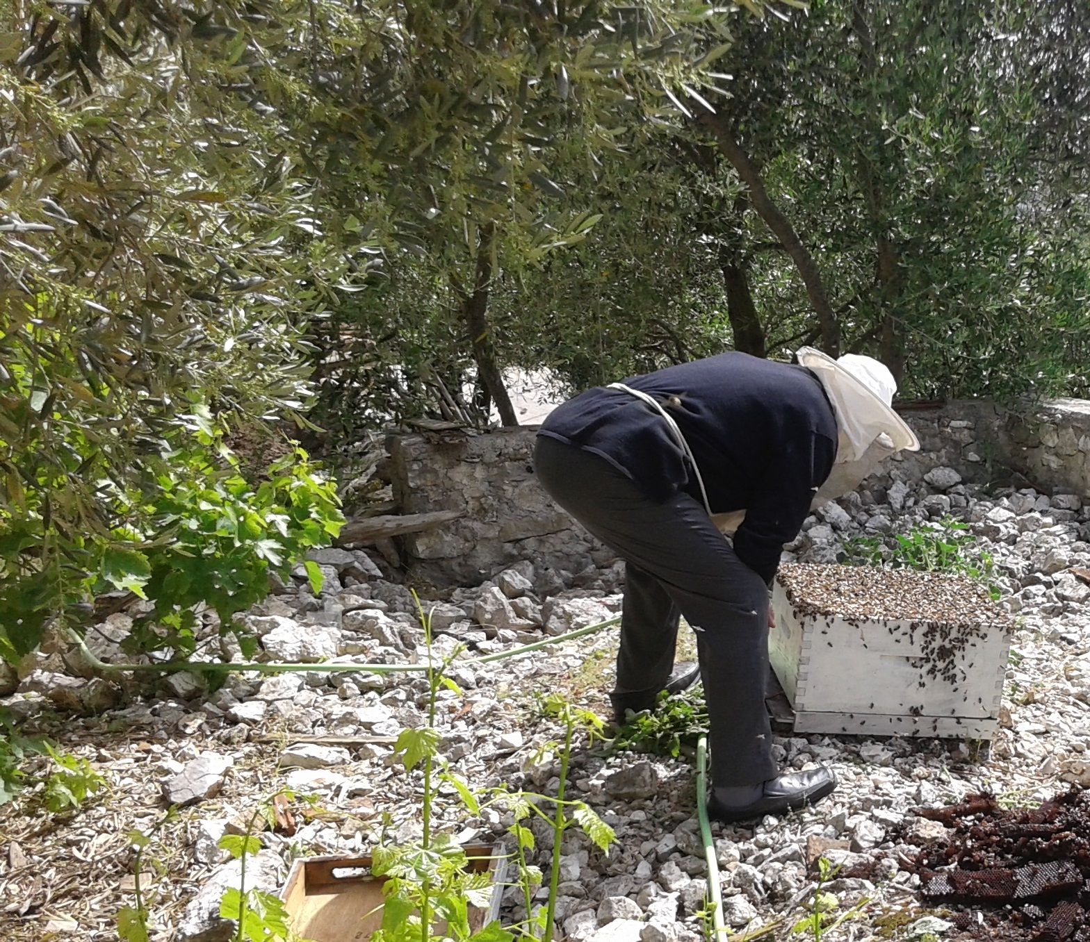 Φροντίδα και έλεγχος της κυψέλης